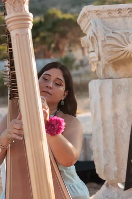 The harp's golden frame cuts the frame diagonally as the musician, eyes lowered, holds her hands over the strings.